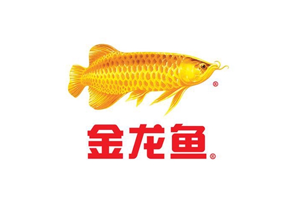 Golden Dragon Fish